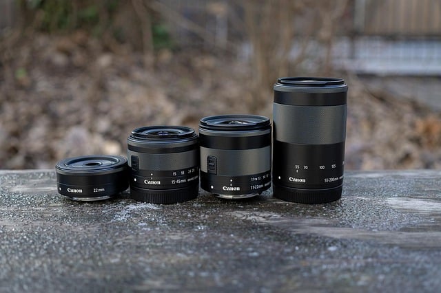 Can You Use Canon Lenses On Sony