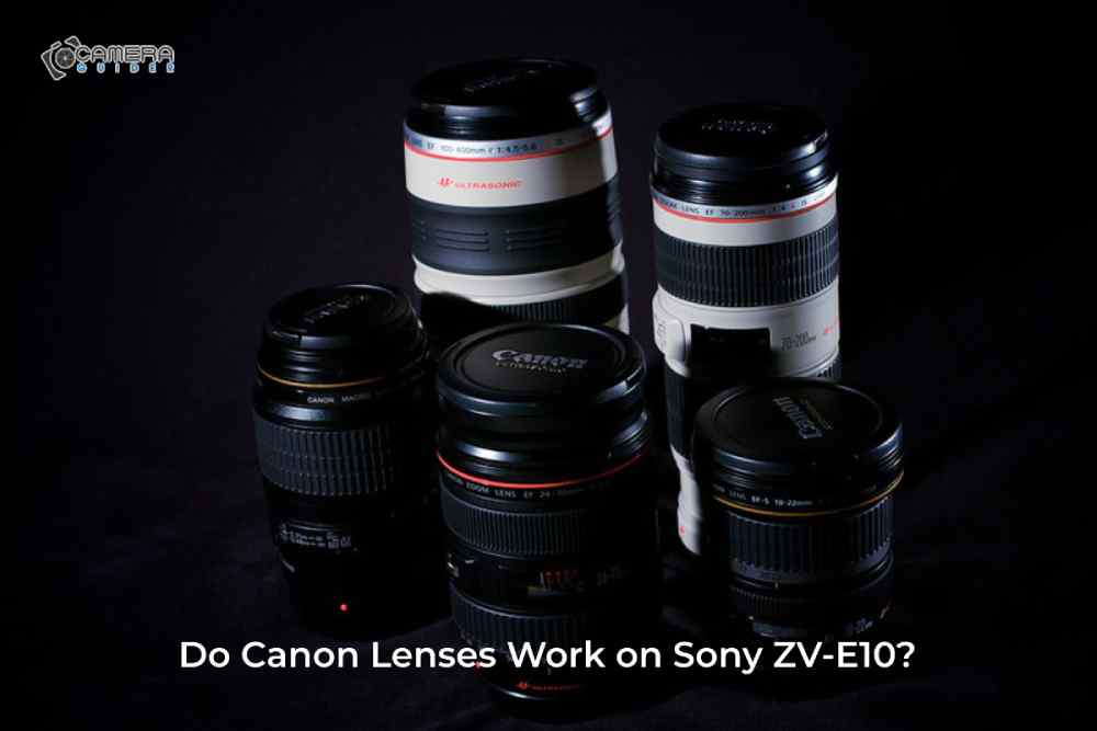 Do Canon Lenses Work on Sony ZV-E10?