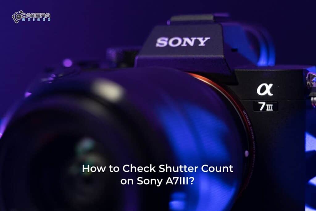 How to check shutter count on Sony A7III